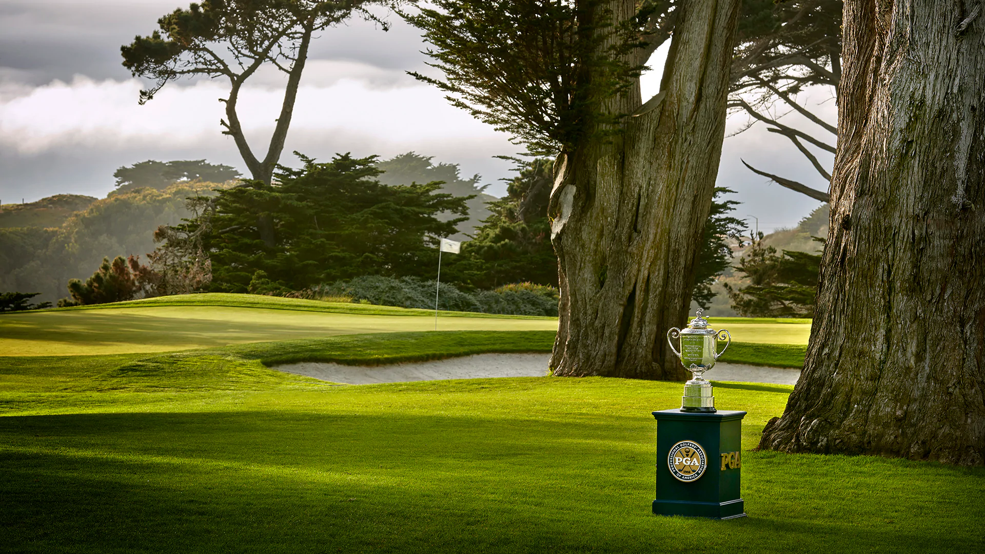 Report: PGA Championship to be contested without fans at TPC Harding Park