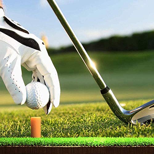 Golf Net Golf Training Aids Practice Net Equipment for Indoor Outdoor Backyard Driving Swing Hitting Chipping with Grass Mat, Golf Tees, Golf Balls and Carry Case (7.8 Feet)