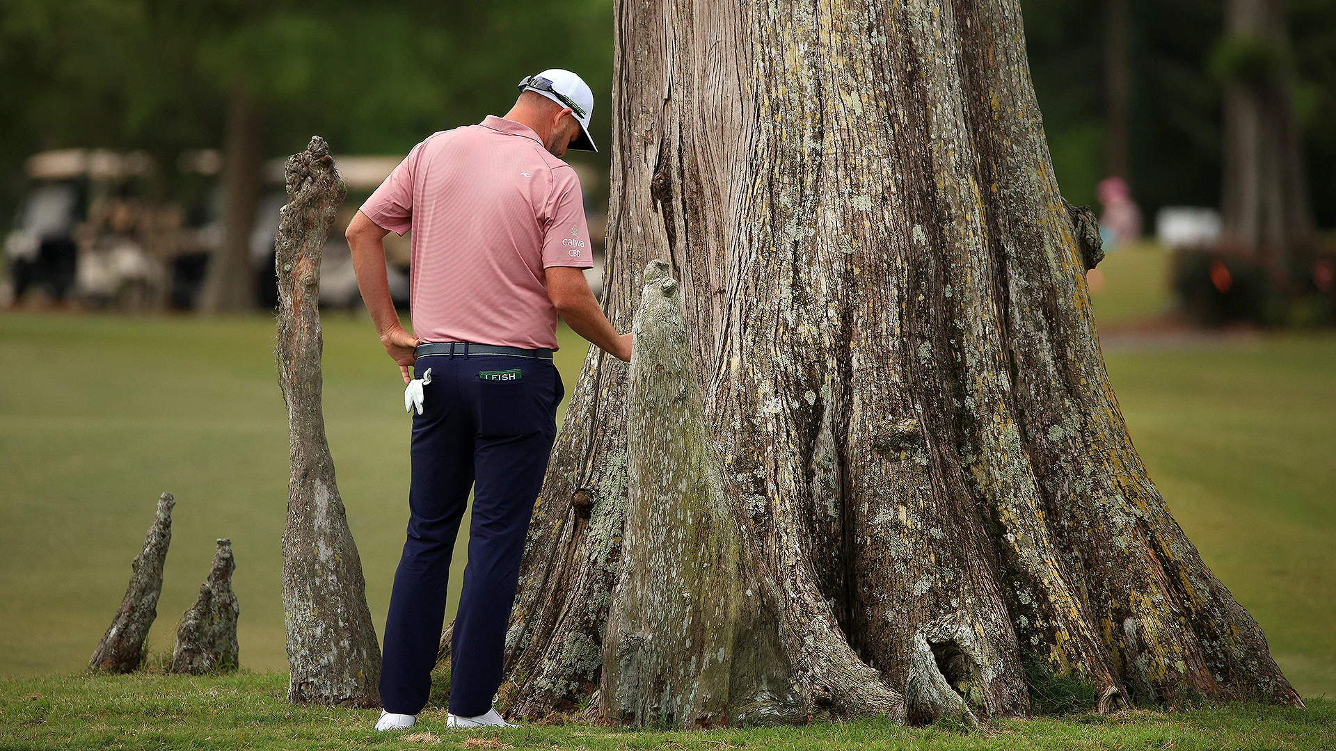 He loves me, he loves me not: Marc Leishman’s opinion changes on 13th-hole tree