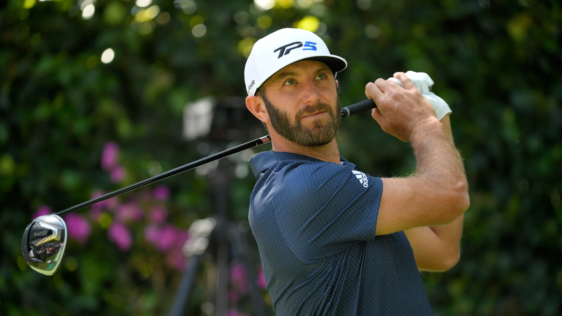 Palmetto Championship odds: Dustin Johnson favored to win in his home state