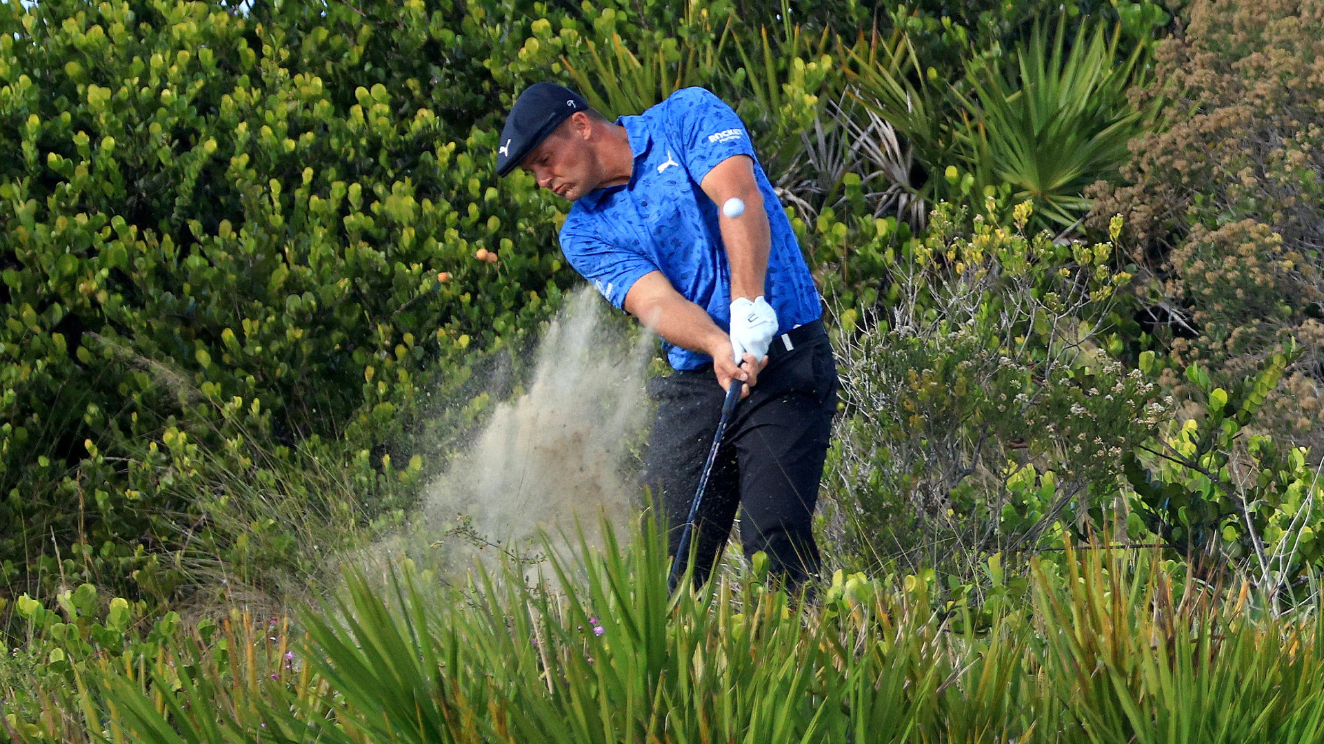 With top names in hunt, weekend at Hero World Challenge shaping up to be a holiday gift