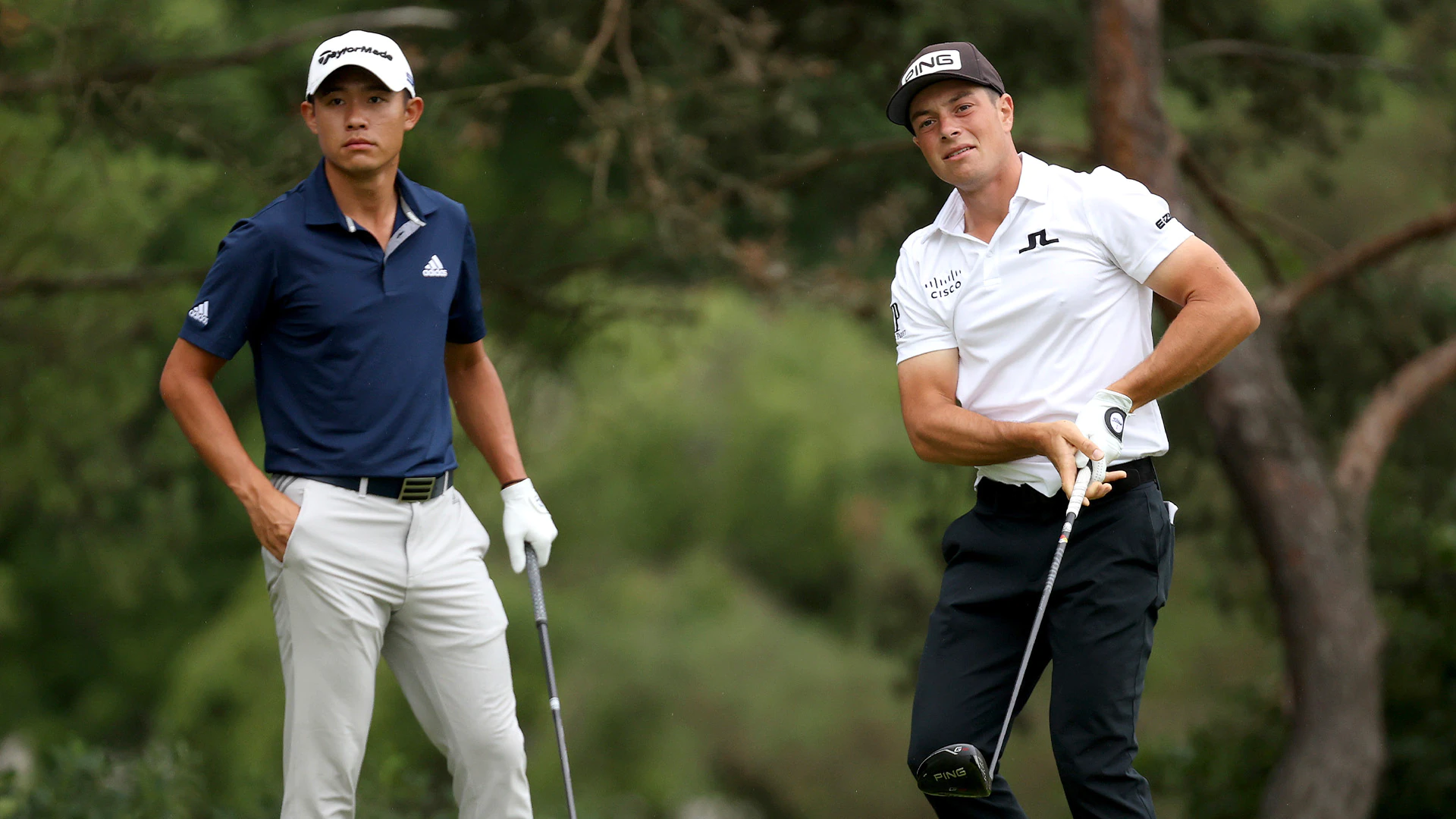 Zurich Classic Odds: Team of Collin Morikawa and Viktor Hovland favorites