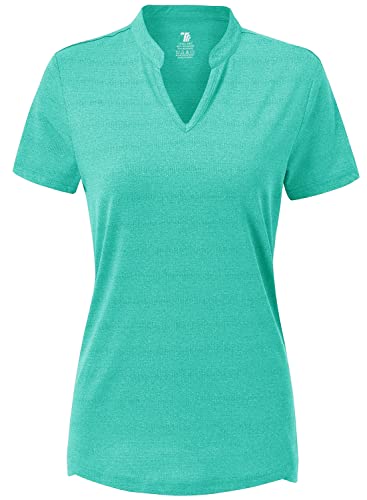 Gopune Women’s V Neck Golf Polo Shirts Collarless Short Sleeve Lightweight Quick Dry Tennis Running T-Shirts Sky Blue,L