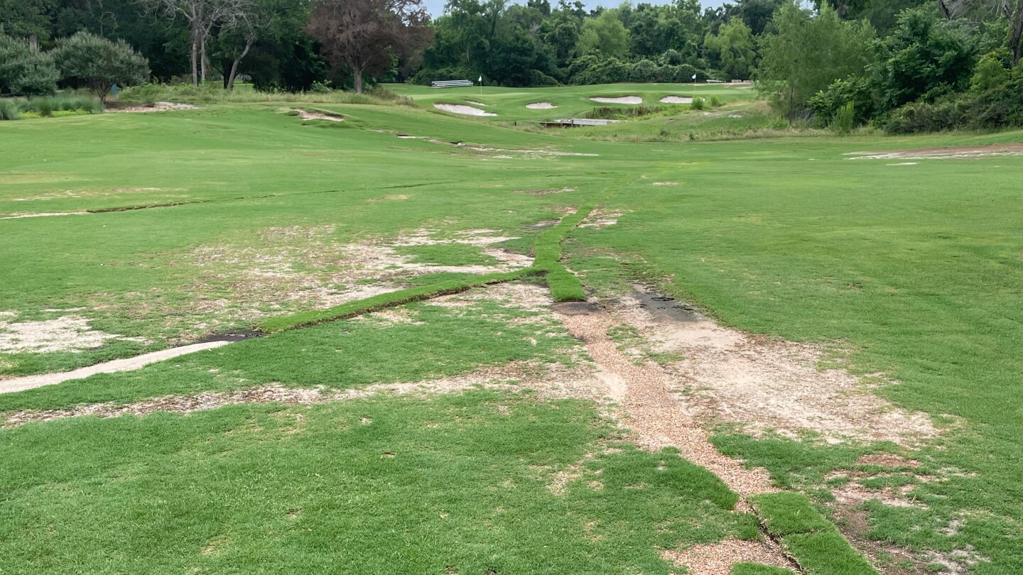 NCAA women’s golf regional sites marked by ‘rough, rough conditions,’ goose poop